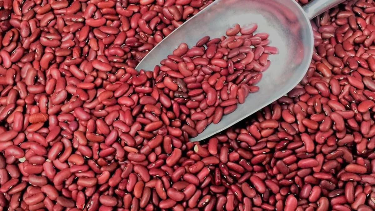 Bhaderwahi Rajma